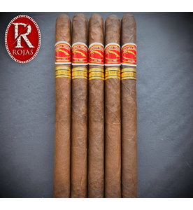 Cigar Rojas Havana Nights Connecticut Lancero
