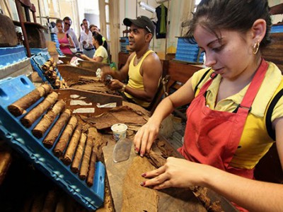 Quy trình sản xuất xì gà tại CUBA.