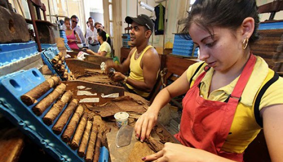 Quy trình sản xuất xì gà tại CUBA.
