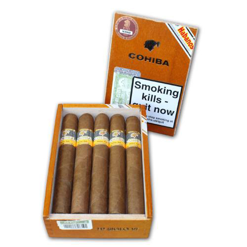Hướng dẫn chọn mua Xì gà Siglo 6 Hộp 10 điếu, Hộp 15 điếu, Hộp 25 điếu tại HN, TPHCM