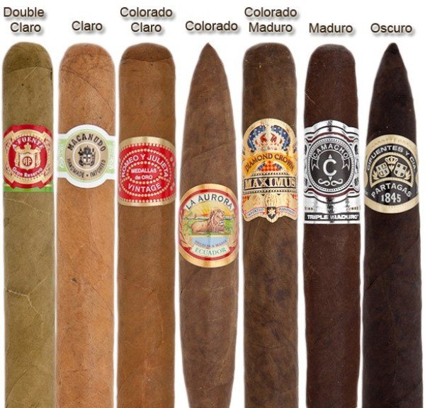 Lựa chọn cigar