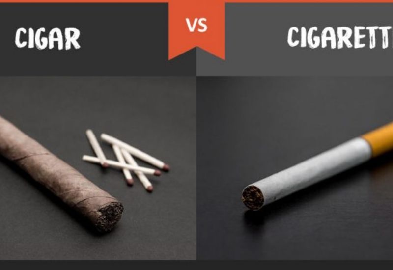 Cả xì gà và thuốc lá đều là sản phẩm từ cây thuốc lá nhưng cách cuốn, kích thước khác nhau
