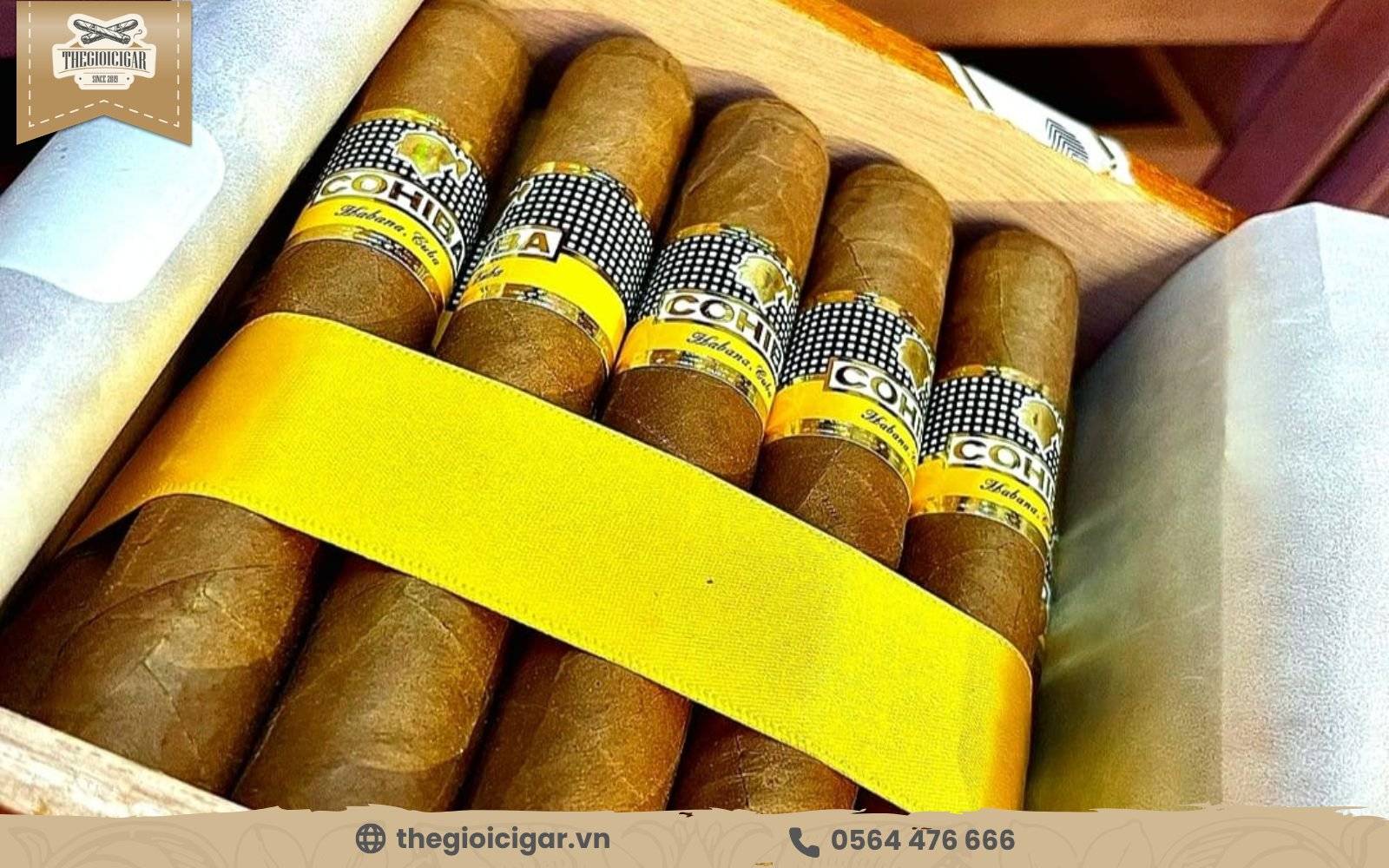 Cigar Cohiba Robustos nổi bật với vẻ ngoài đầy thu hút