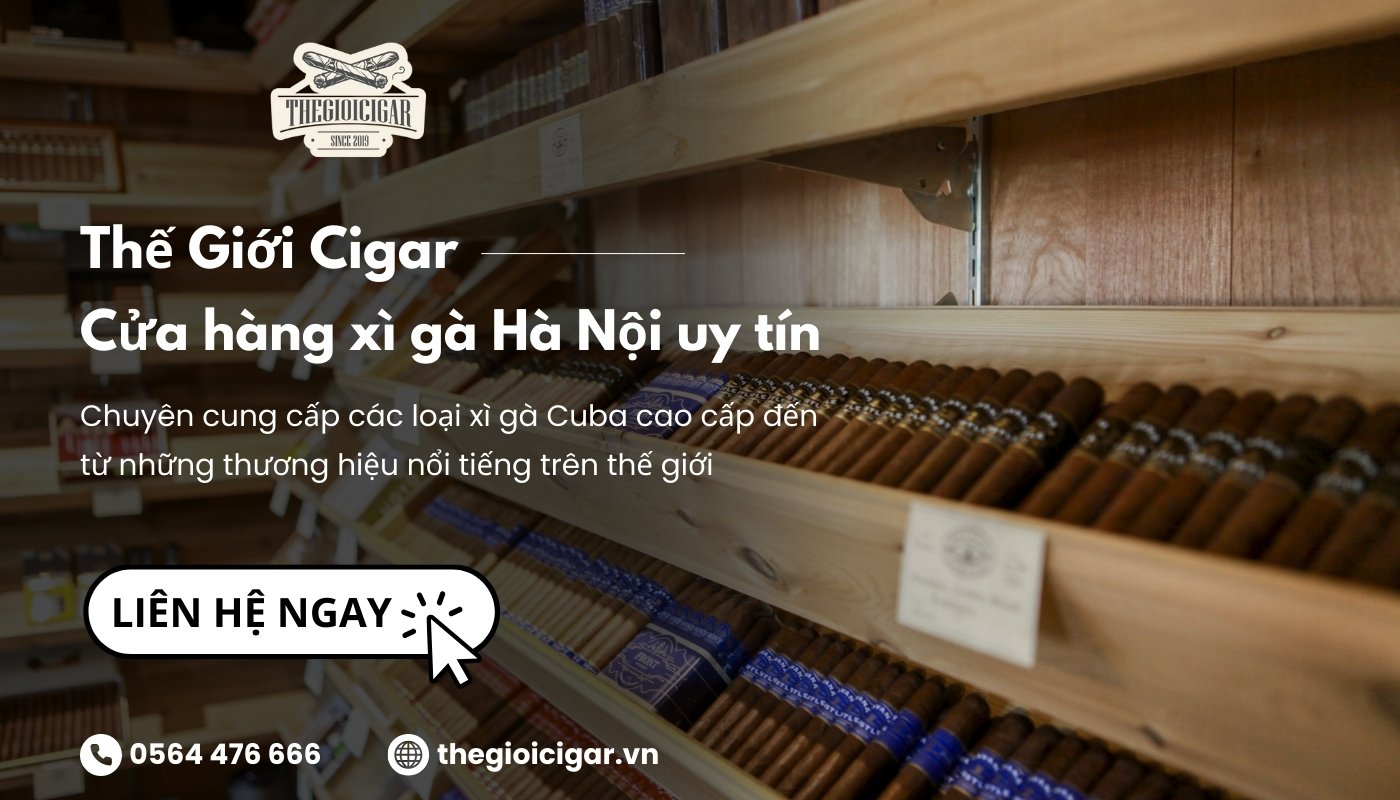 Thế Giới Cigar là địa chỉ mua xì gà uy tín ở Hà Nội, nổi tiếng với dân chơi sành điệu