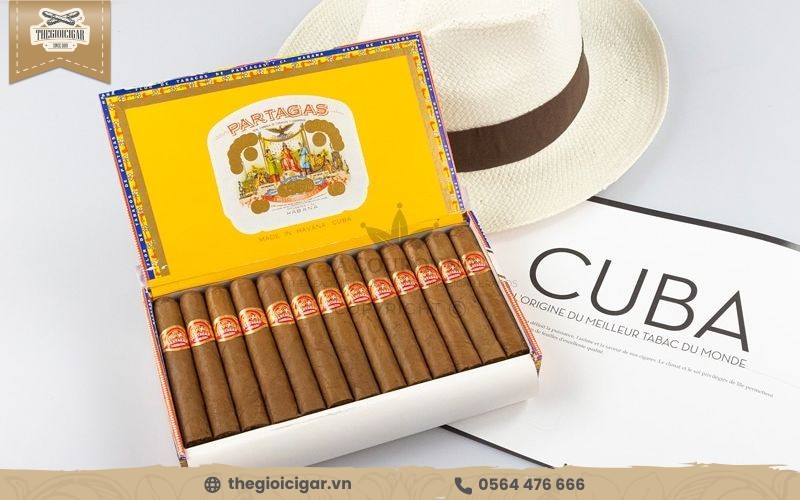 Partagas cigar có mùi hương khá đặc biệt, thiết kế tinh xảo