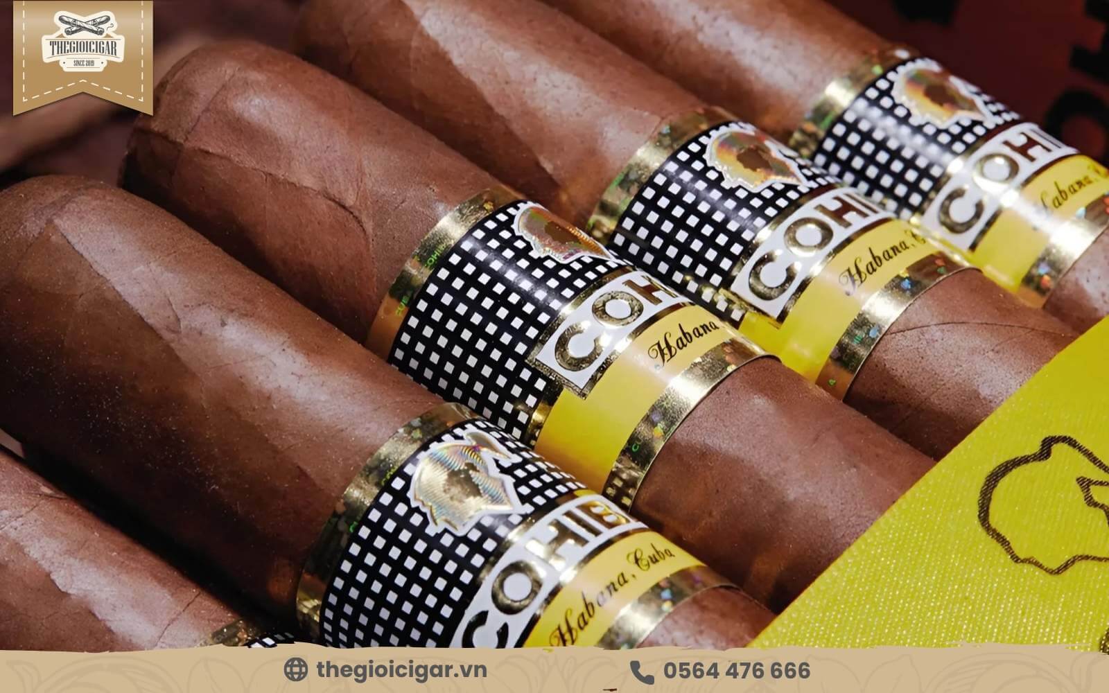 Giá Cohiba Siglo 6 hộp 3 điếu hợp lý trên thị trường