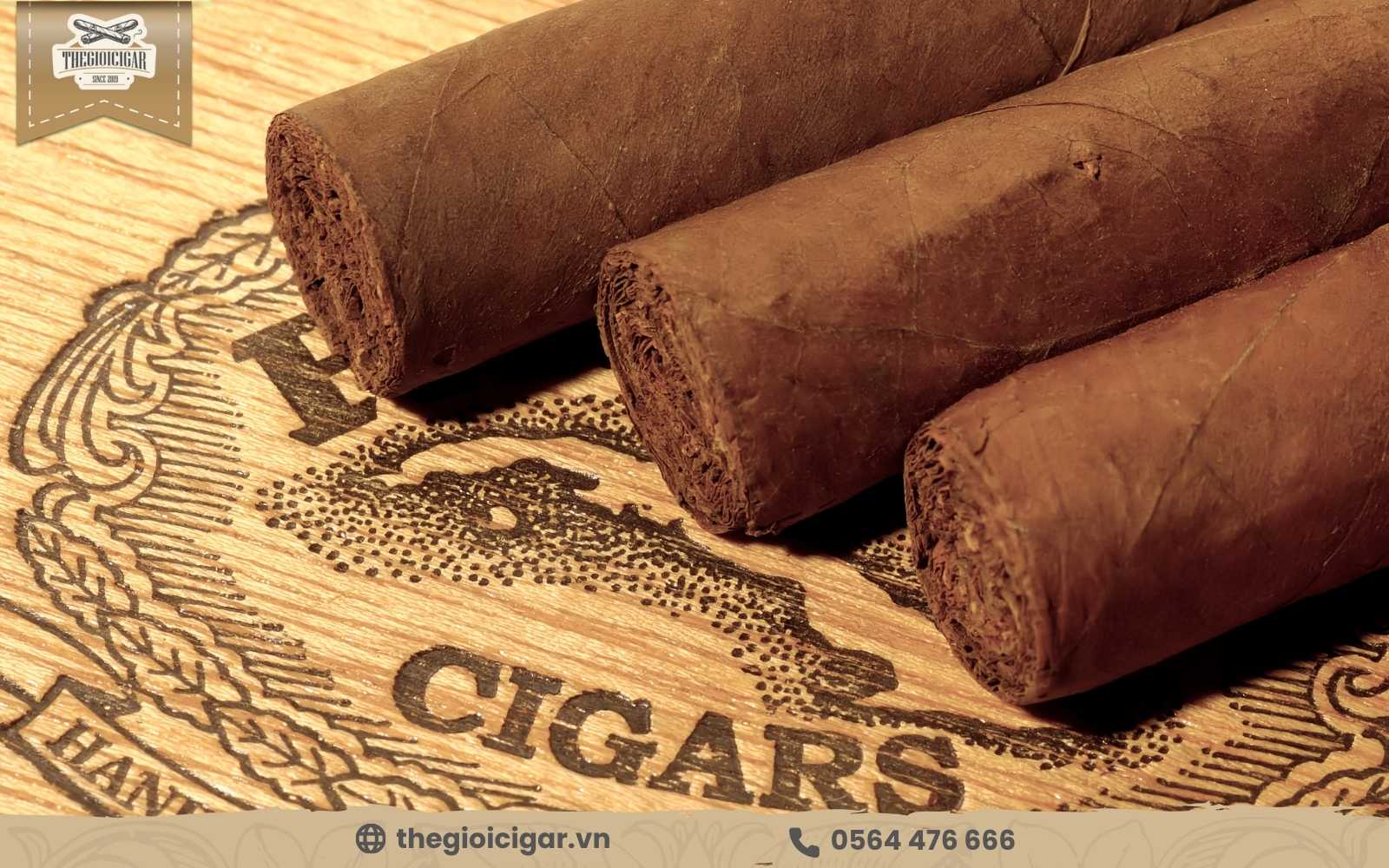 Mua tại đại lý xì gà tại Hà Nội Thế Giới Cigar để đc giá tốt nhất