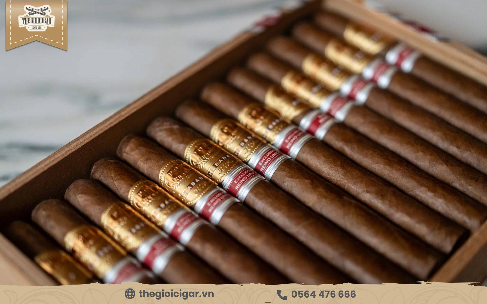 Xì gà Romeo y Julieta là một trong các dòng xì gà được mua nhiều nhât tại HCM