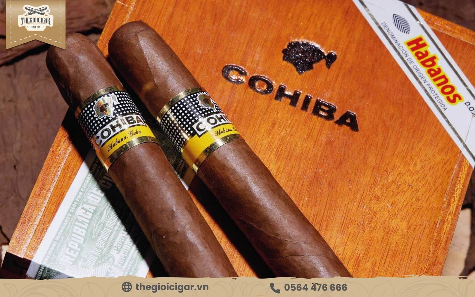 Mua xì gà cohiba Siglo 6 chính hãng, thiết kế cổ điển