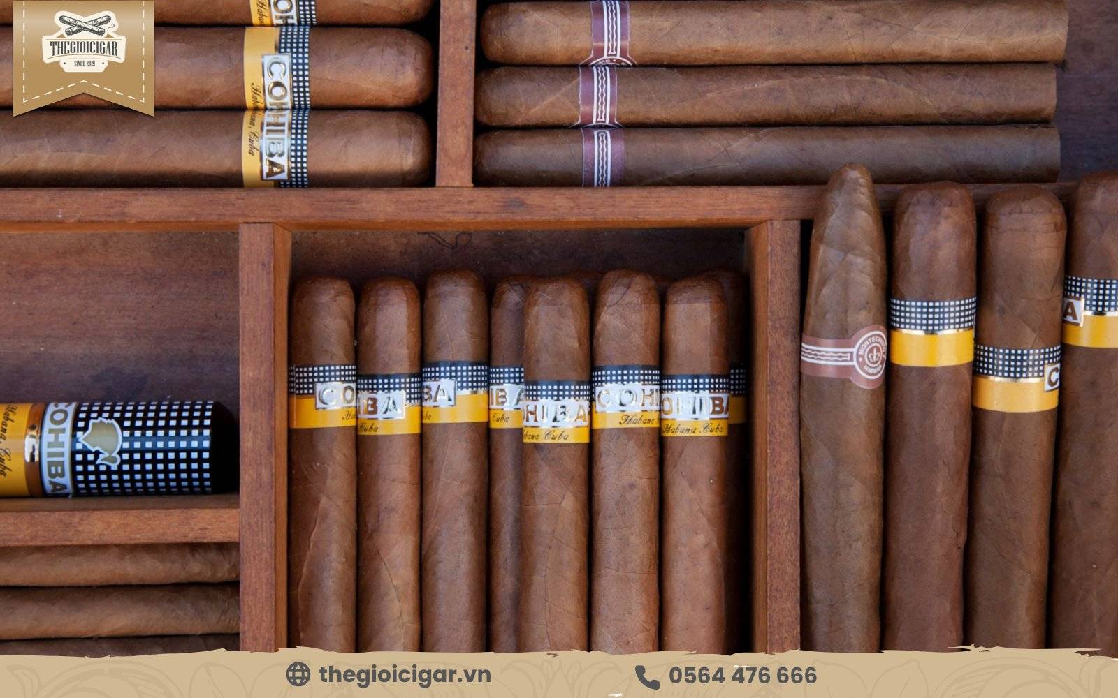 Thương hiệu cigar Cohiba có xuất xứ từ nước Cuba