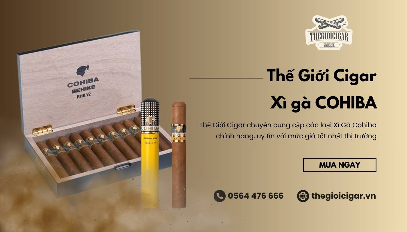 Mua xì gà Cohiba giá rẻ, chính hãng tại Thế Giới Cigar