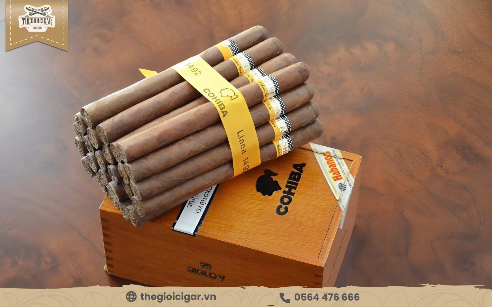 Xì gà cohiba Siglo 6 có mùi hương thơm ngon