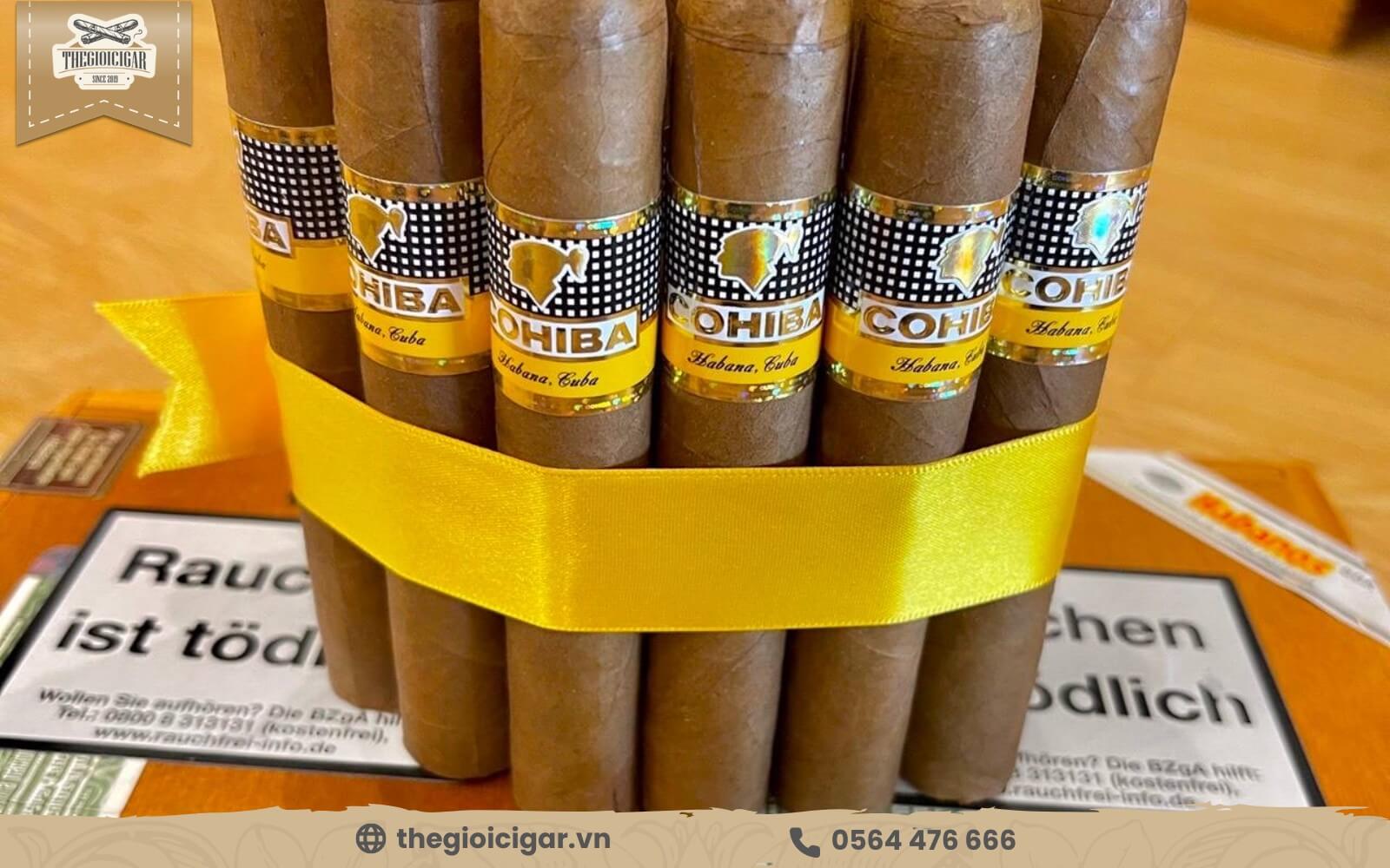 Đặt mua ngay Xì gà Cohiba Robustos – Hộp 25 điếu chính hãng thơm ngon