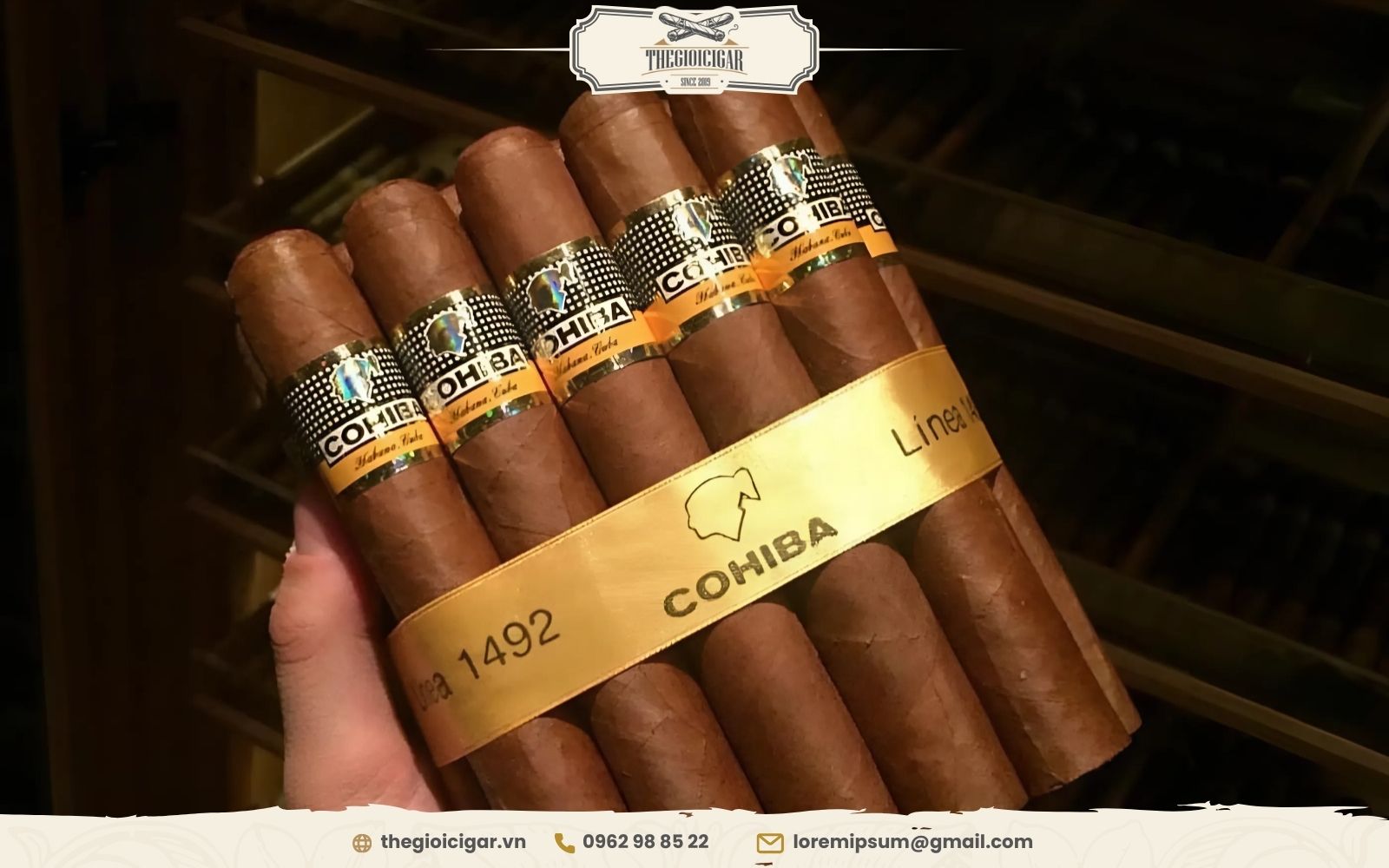 Cigar Cohiba Siglo VI là dòng cao cấp giá tốt