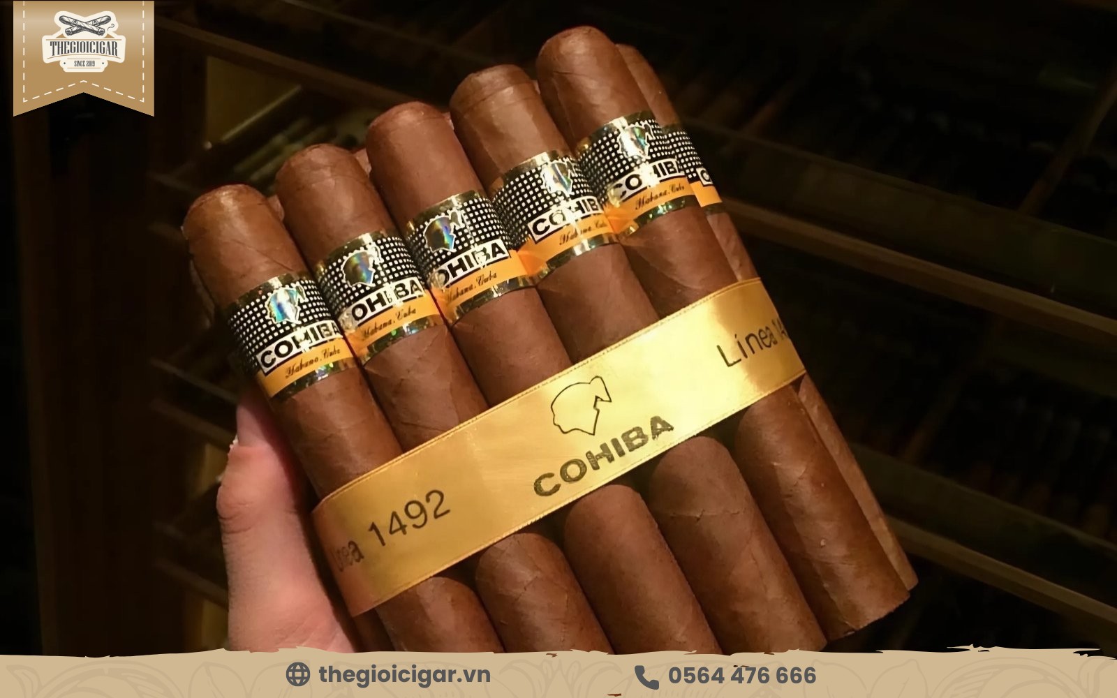 Cigar Cohiba Siglo VI là dòng cao cấp giá tốt