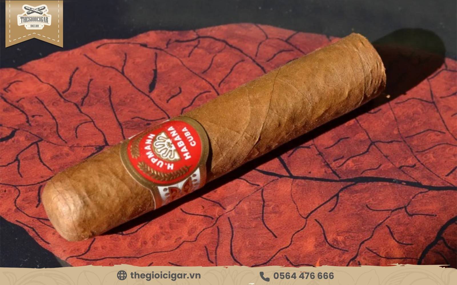 Giá thuốc xì gà mini H Upmann Half Corona cổ điển cực kỳ tốt