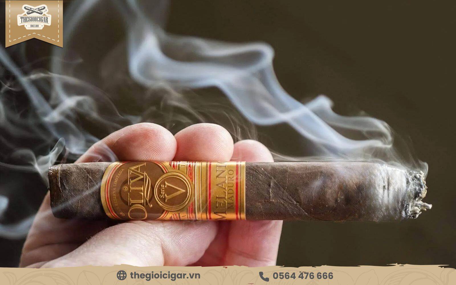 Oliva Serie V Melanio là loại xì gà tặng tết hợp lý, đậm đà, thơm ngon