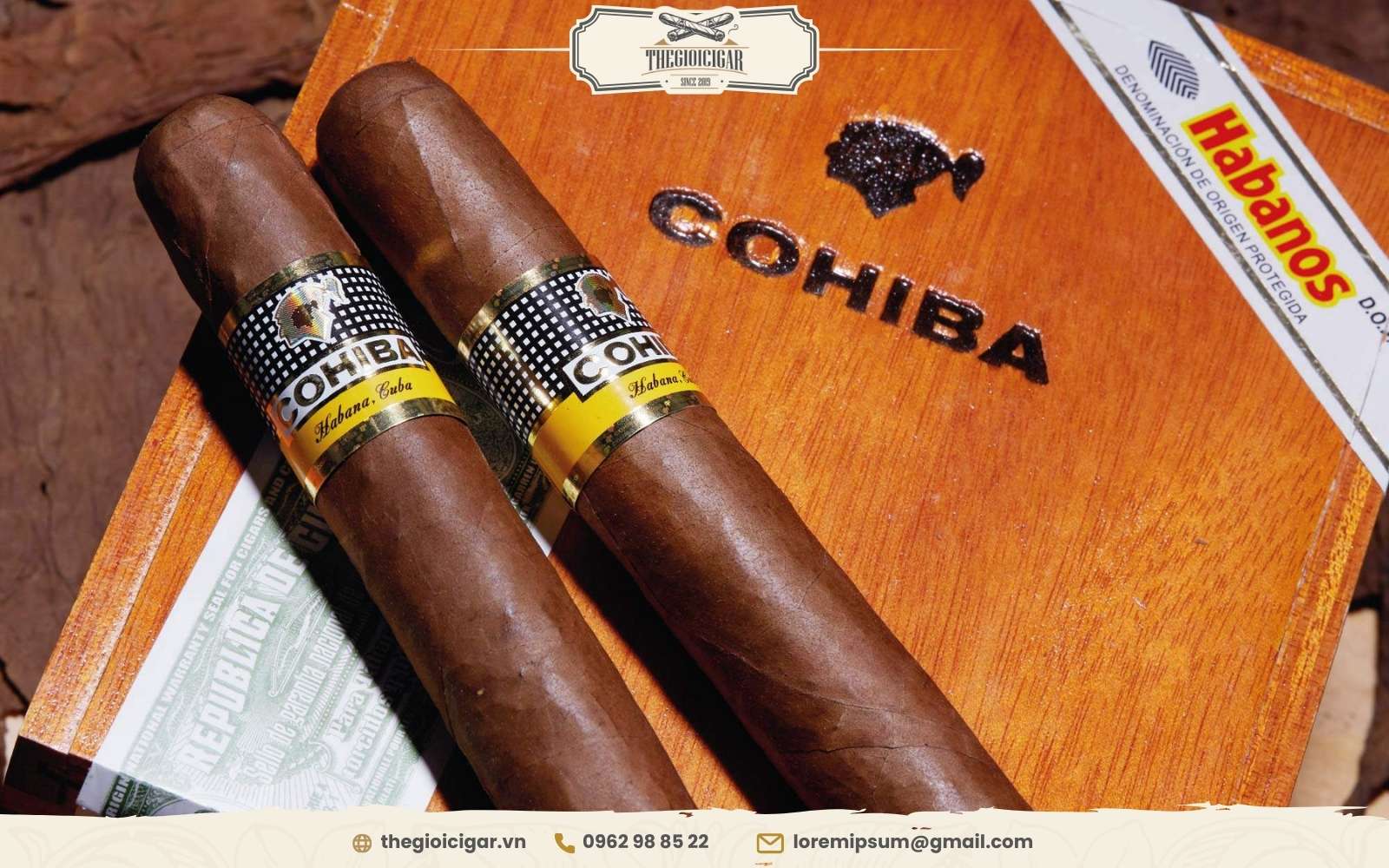 Mua xì gà cohiba Siglo 6 chính hãng, thiết kế cổ điển