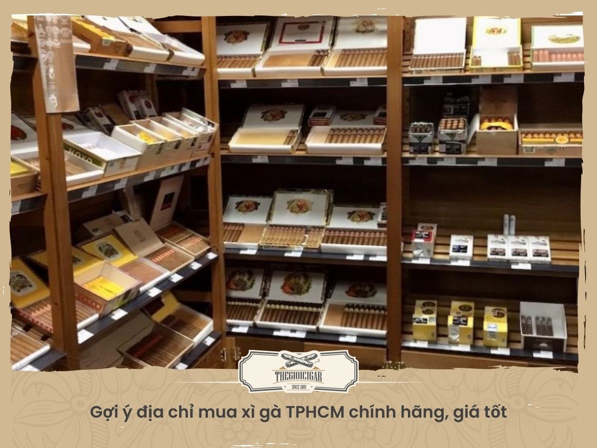 Địa chỉ mua xì gà TPHCM chính hãng, giá tốt