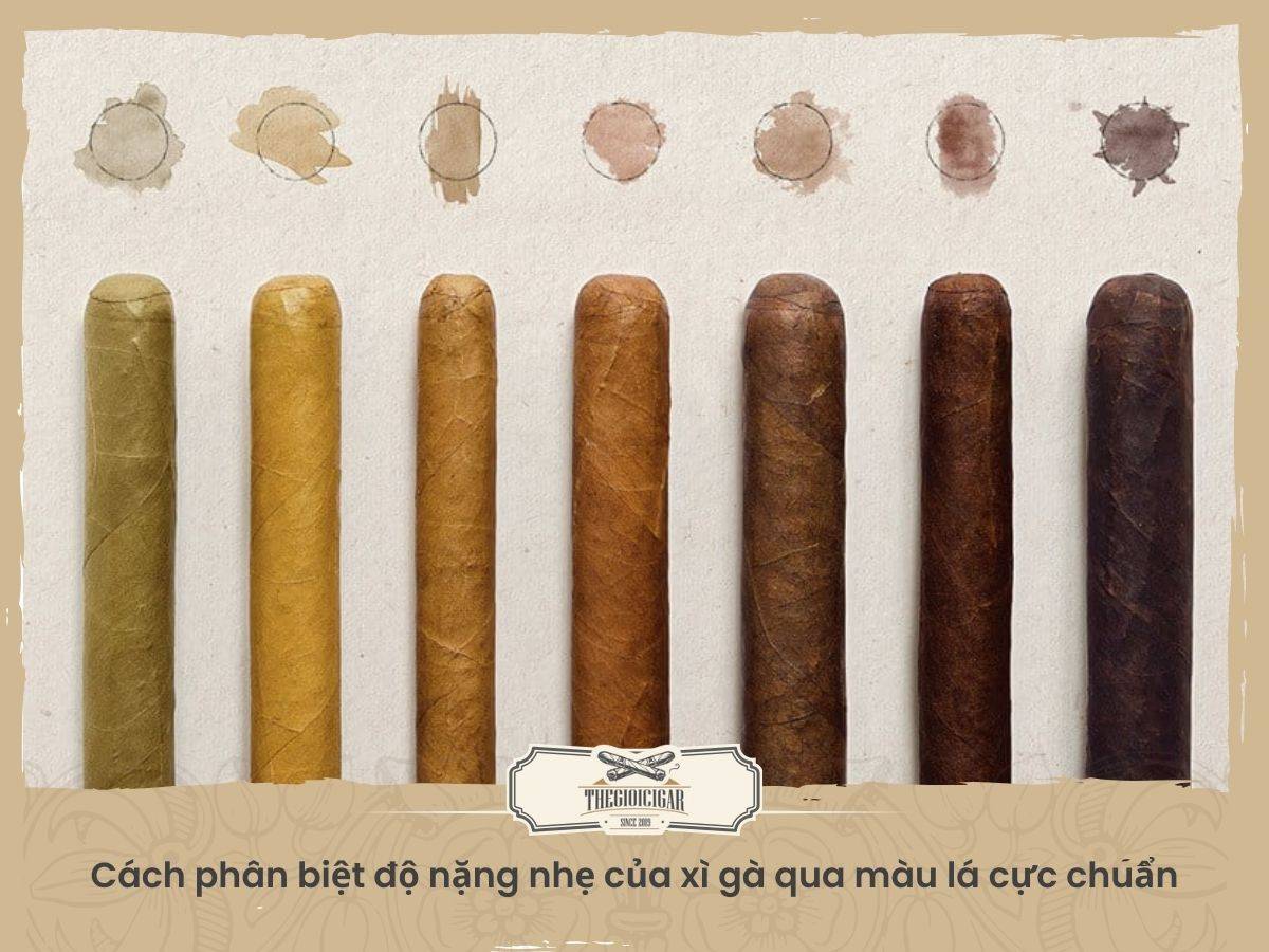 Cách phân biệt độ nặng nhẹ của cigar qua màu lá