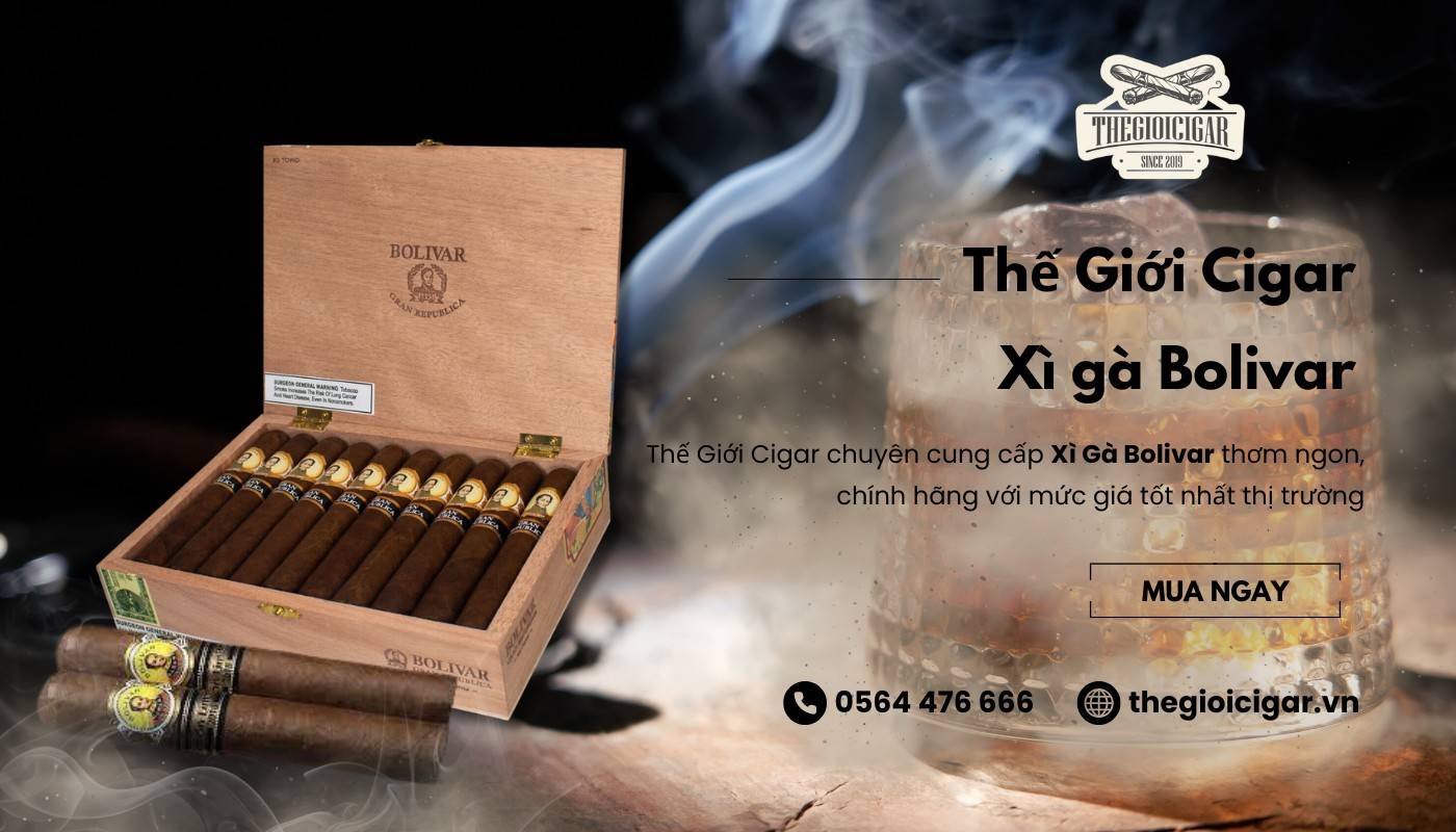 Mua cigar Bolivar thật giá sỉ tại Thế Giới Cigar