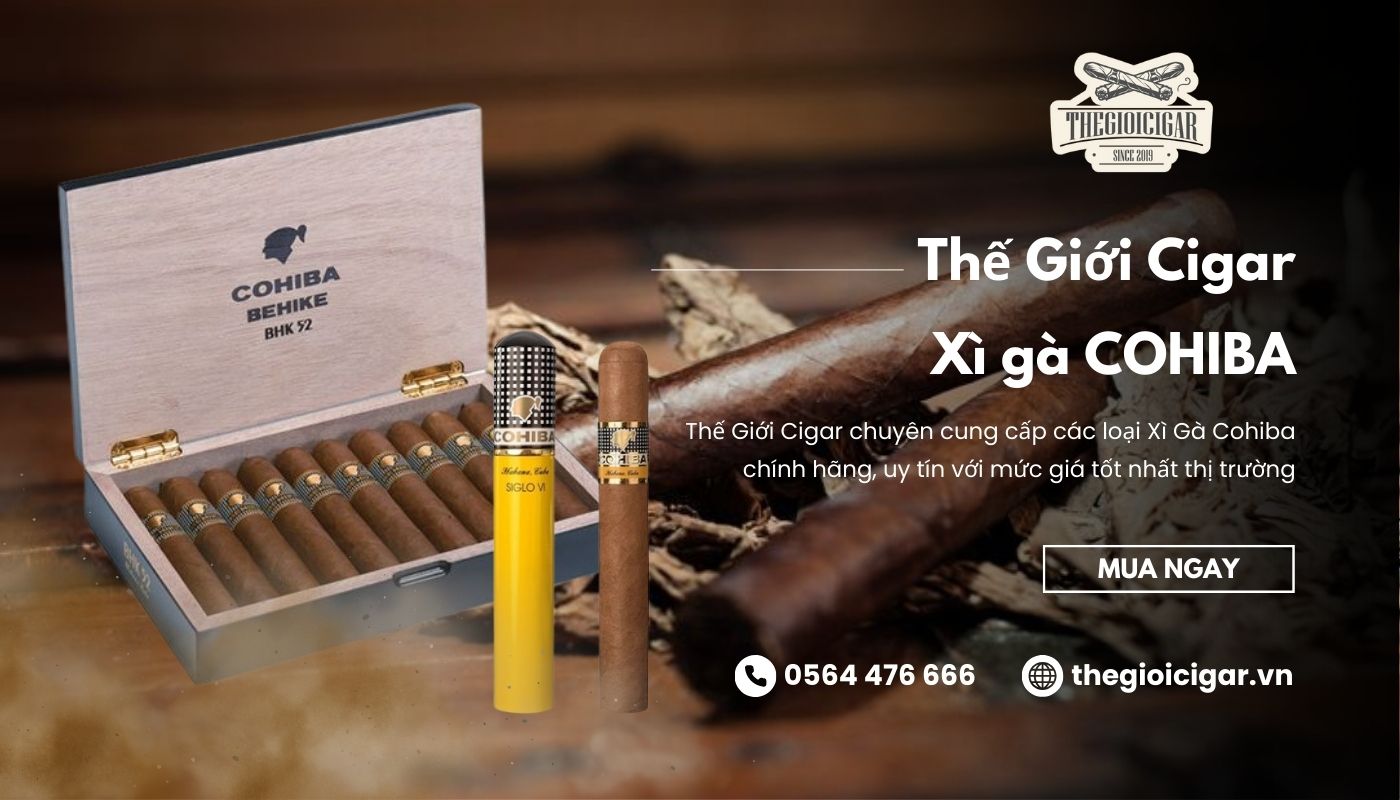 Mua xì gà Cohiba giá rẻ, chính hãng tại Thế Giới Cigar