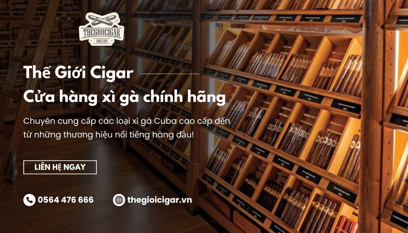 Mua xì gà ở đâu TPHCM, Hà Nội, đừng ngần ngại đến ngay với Thế Giới Cigar