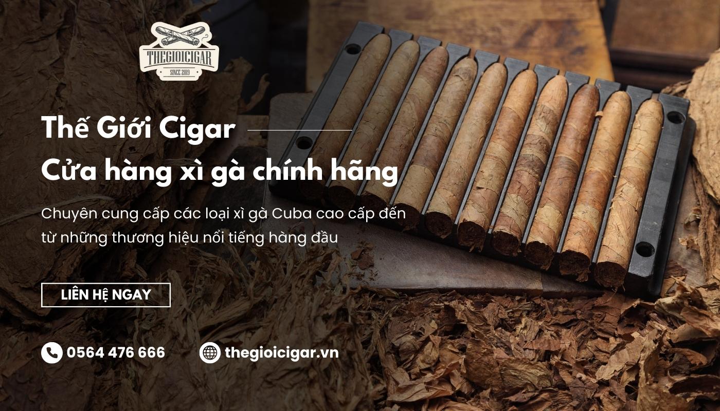 Thế Giới Cigar là điểm đến mua cigar của nhiều người hiện nay