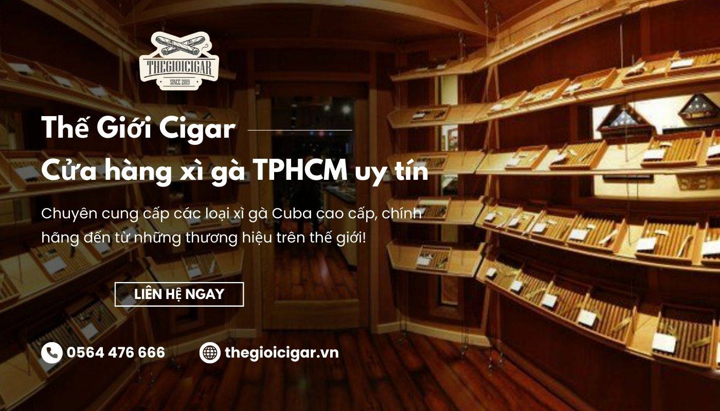 Mua xì gà tại TPHCM uy tín chính hãng, giá tốt tại Thế Giới Cigar