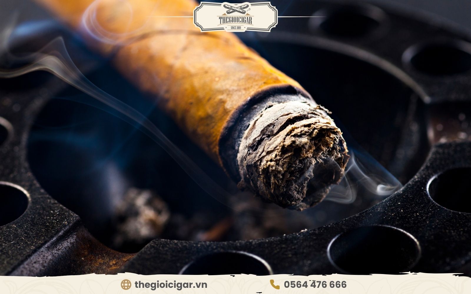 Không được dập tắt điếu thuốc cigar đột ngột