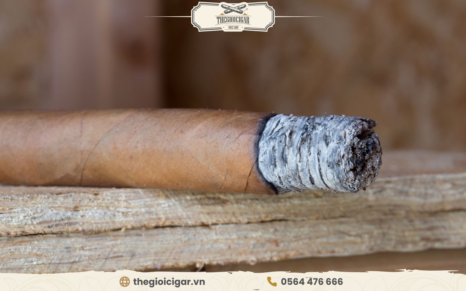 Quy trình hút xì gà chi tiết để thưởng thức điếu cigar thơm ngon nhất