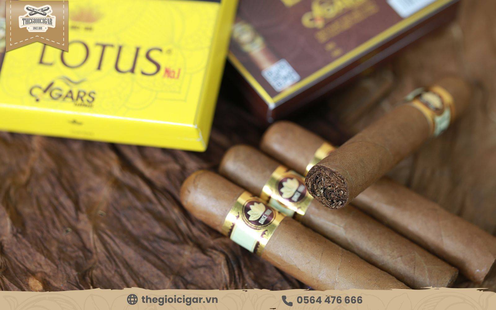 Cigar Lotus Vinataba nổi bật với hương vị thơm ngon, cuốn hút