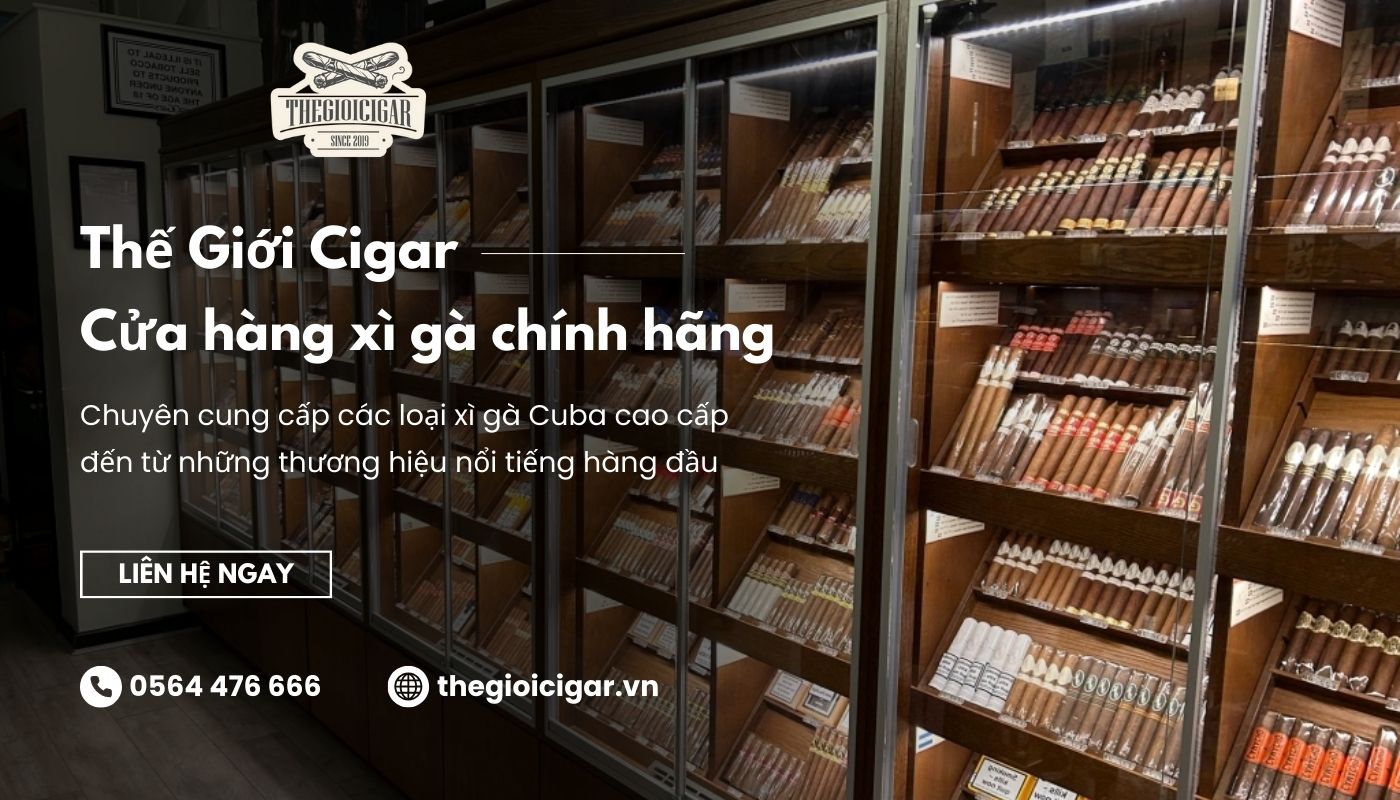 Đặt mua xì gà chính hãng, giá tốt ngay tại Thế Giới Cigar