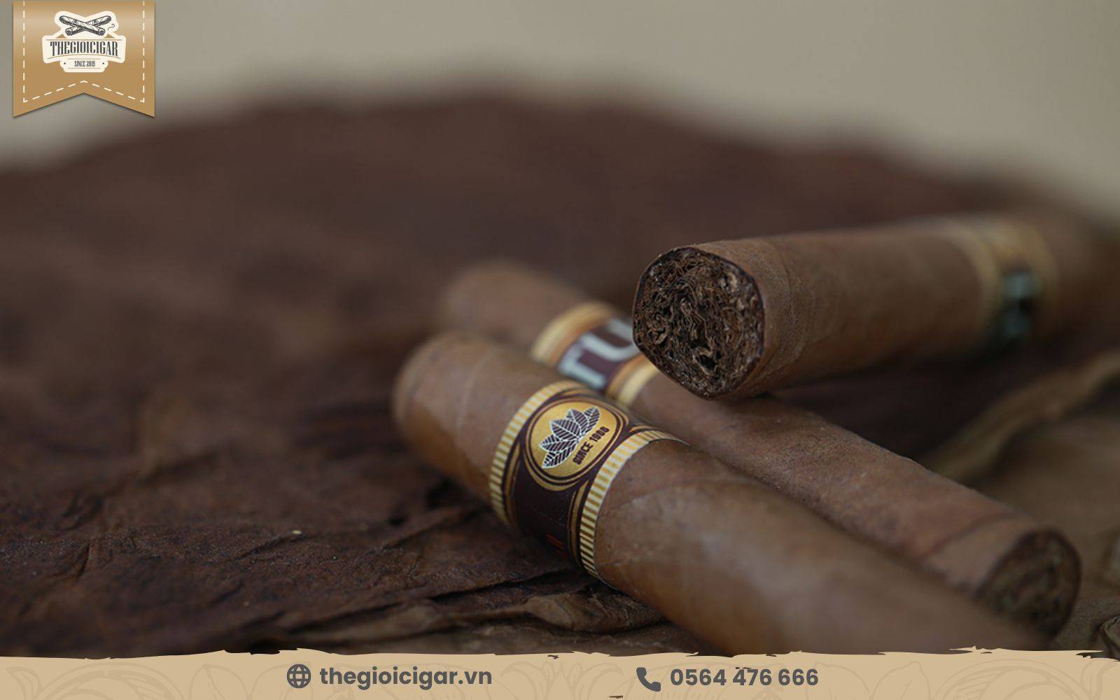 Dòng cigar Lotus Vinataba Việt Nam nhận được nhiều sự ủng hộ không khác gì hàng ngoại nhập