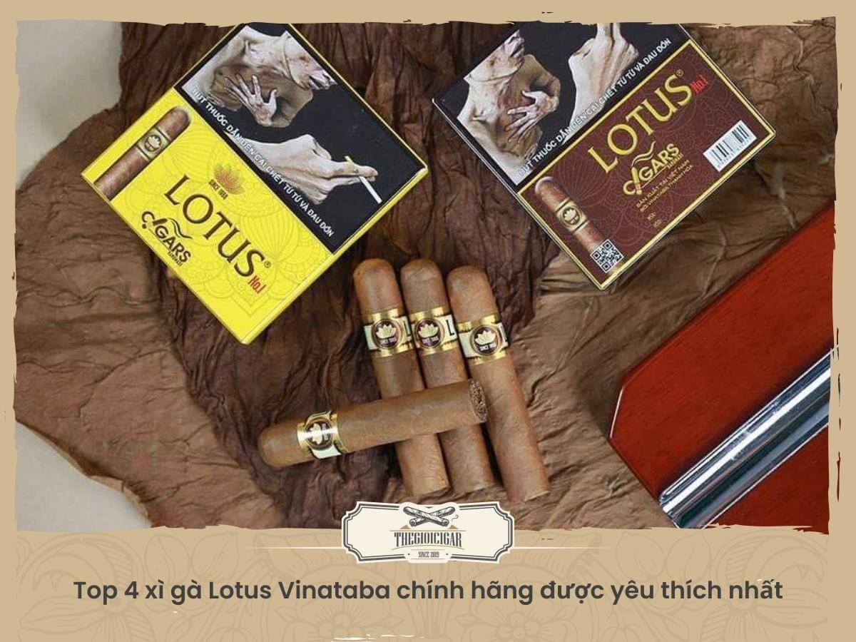 Top cigar Lotus Vinataba giá rẻ được ưa chuộng