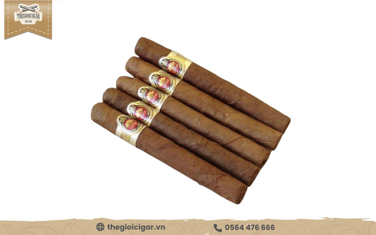 Cigar Lotus Vinataba Lotus Short giá hợp lý, chất lượng hảo hạng