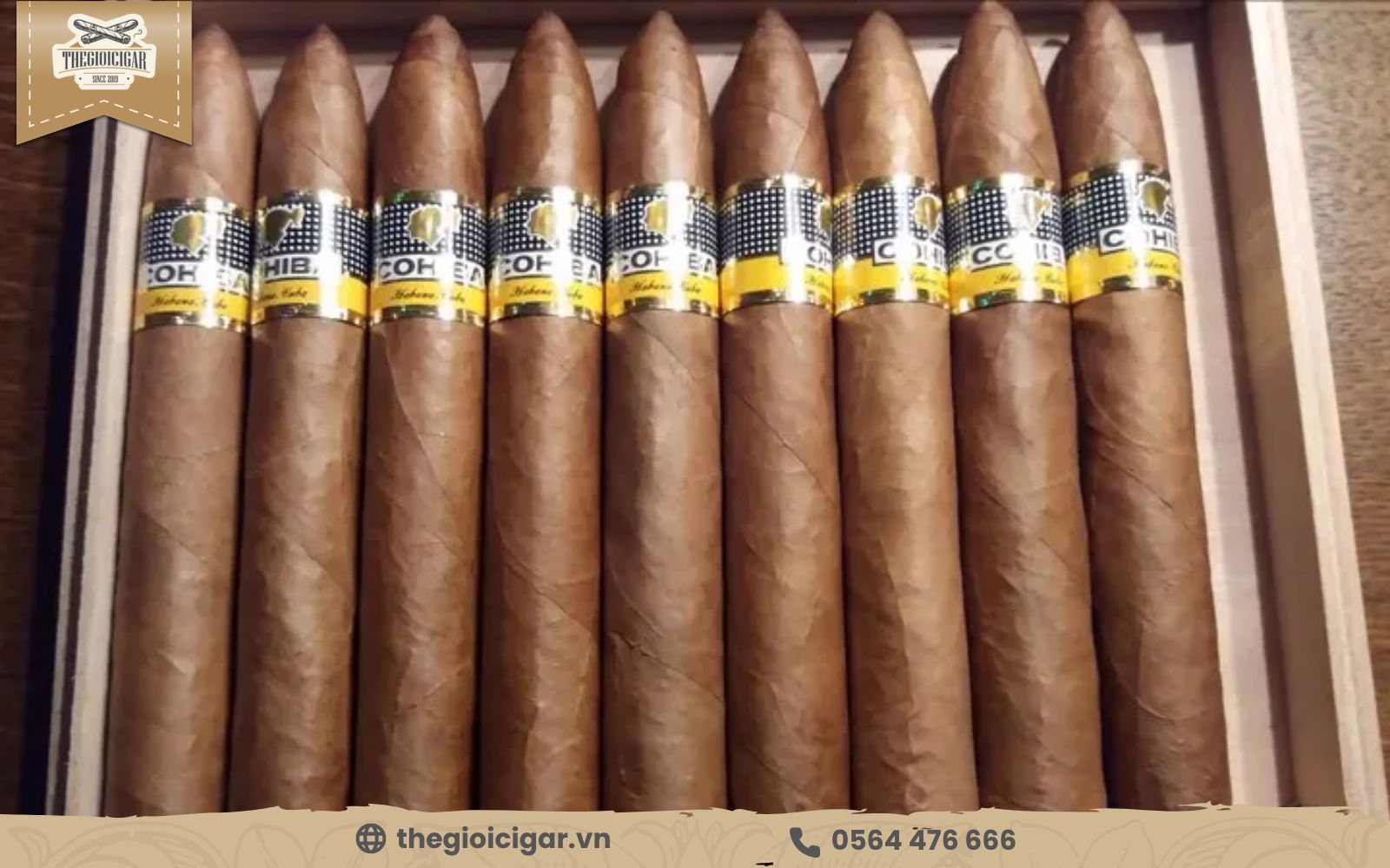 cigar vị gỗ cohiba piramides cao cấp