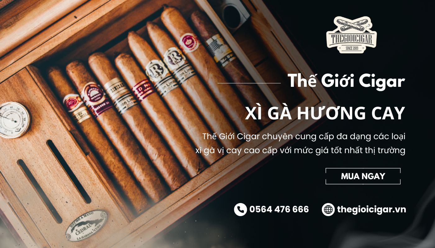 Nơi mua xì gà hương vị cay giá tốt