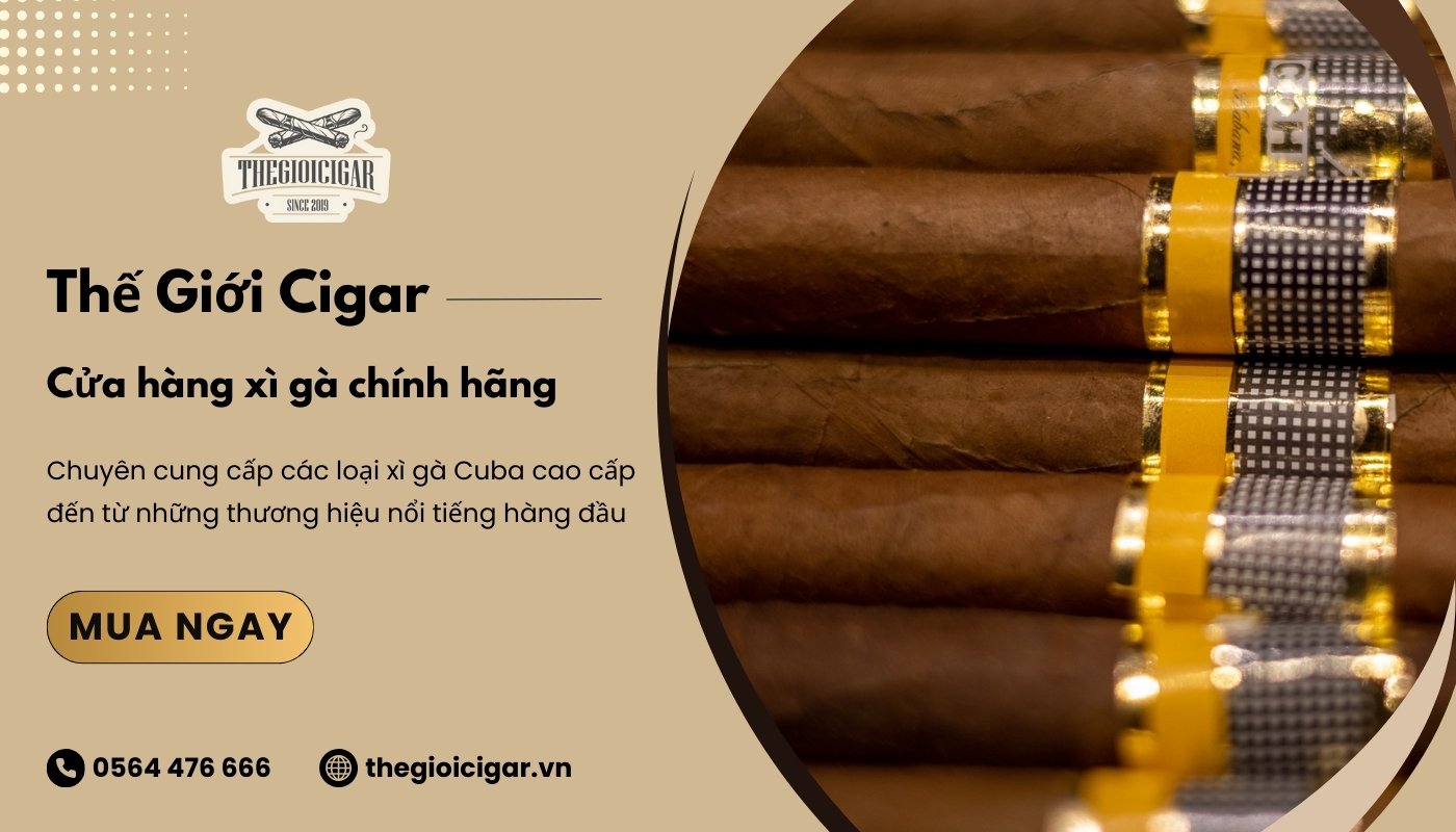 Đặt mua xì gà sữa uy tín, thơm ngon tại Thế Giới Cigar