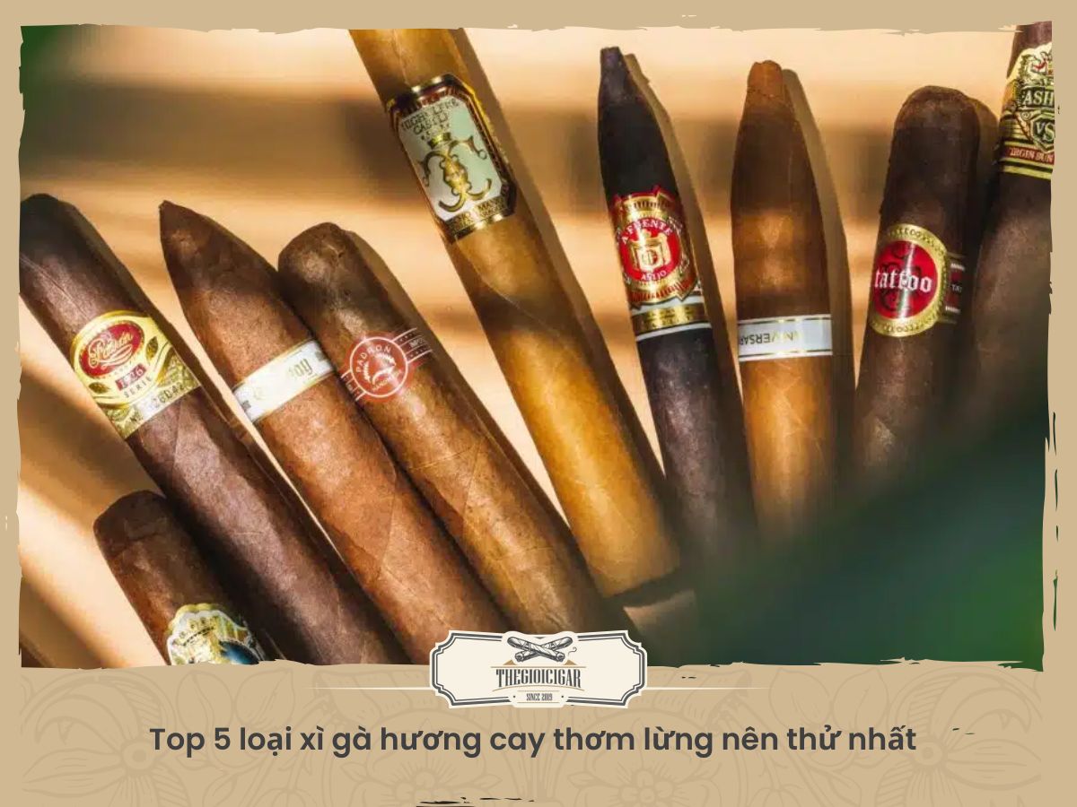 Top 5 loại xì gà hương cay thơm lừng nên thử nhất