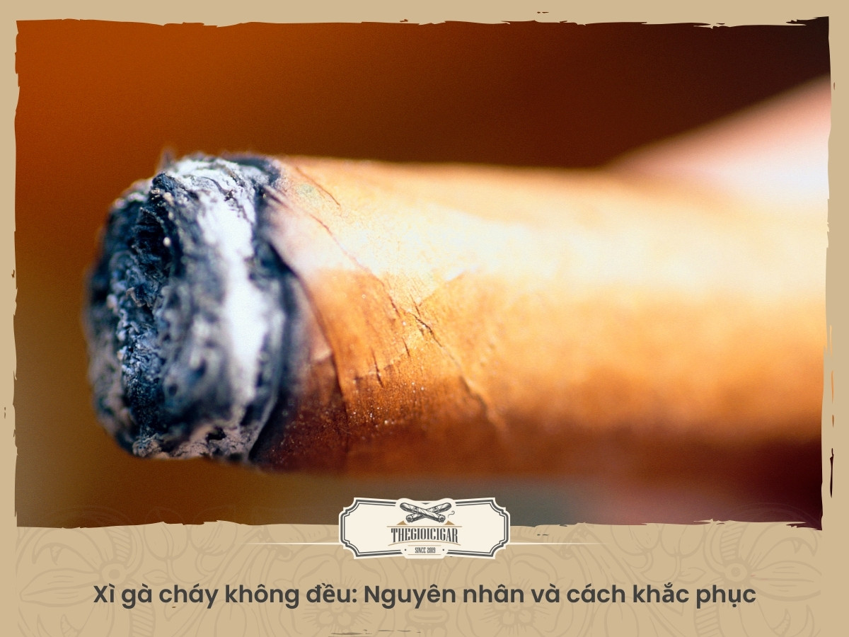 Tìm hiểu nguyên nhân và khắc phục xì gà cháy không đều