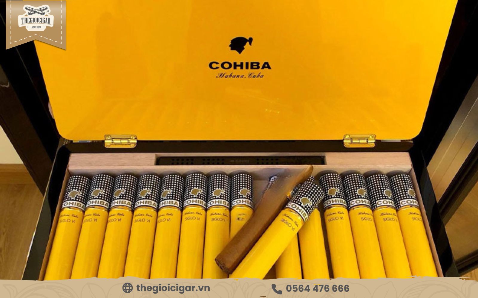 cigar hương gỗ Cohiba Siglo 6