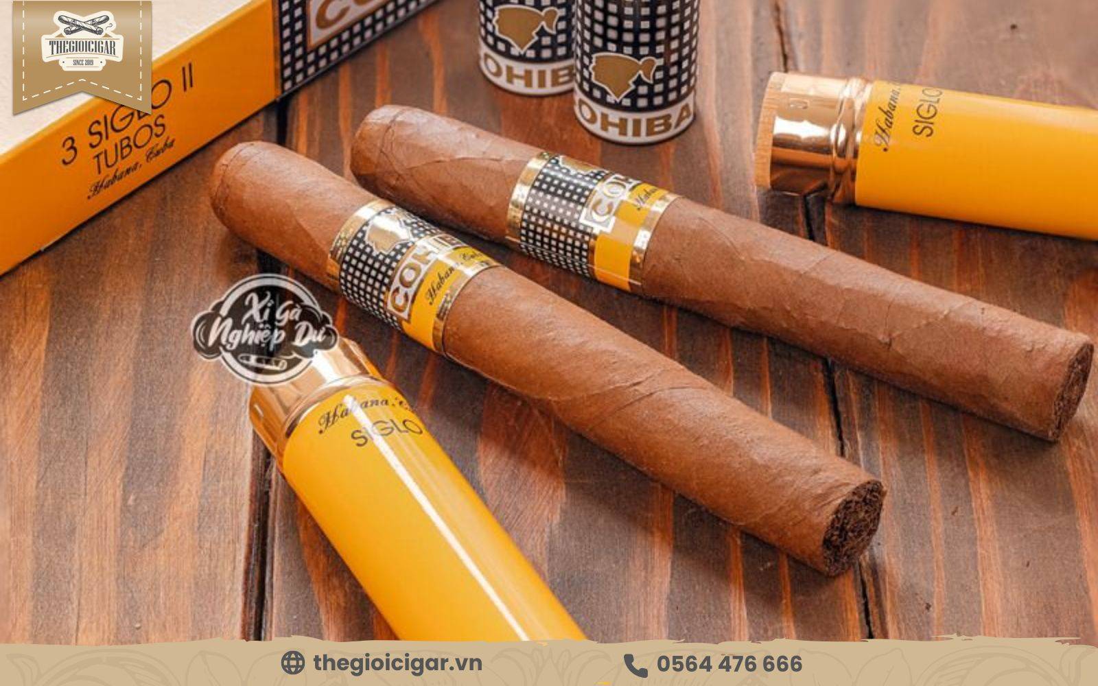 Xì gà hương cacao Cohiba Siglo II Tubos sẽ càng đậm vị thơm ngon khi kết hợp cùng tách cafe