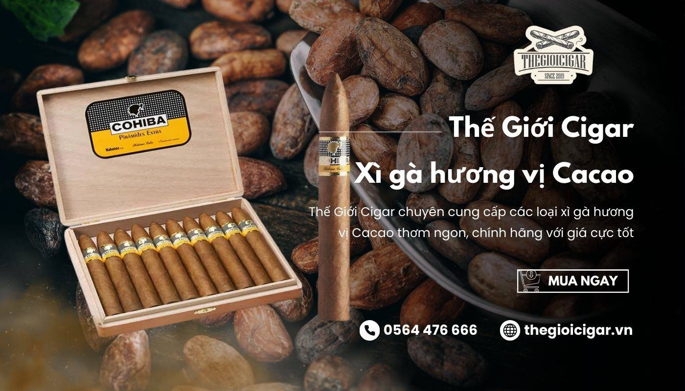 Mua xì gà vị Cacao tại Thế Giới Cigar để đảm bảo chất lượng, hương vị với mức giá tốt