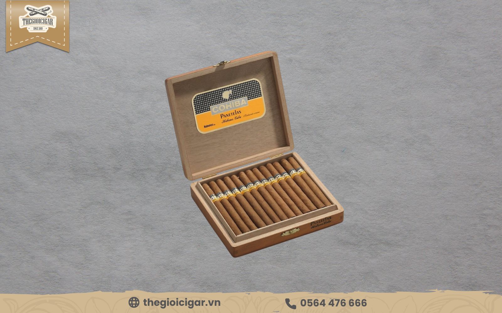 Cigar Cohiba Panetelas được giới thương lưu khá ưu thích