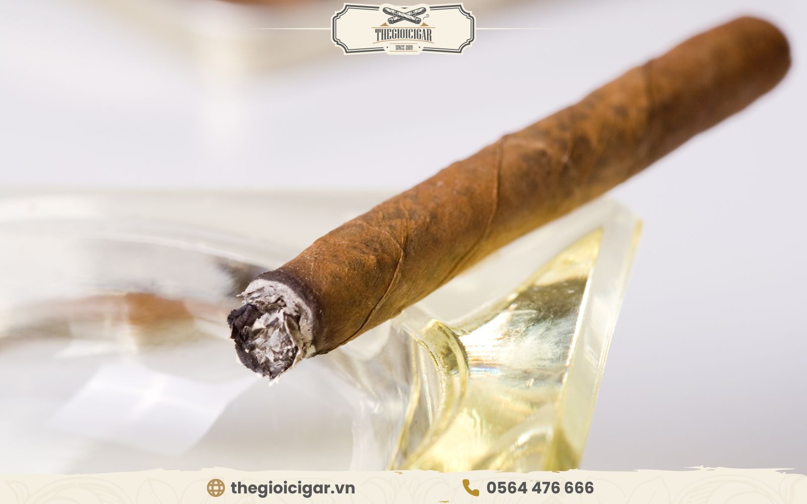 Cách xử lý xì gà hút dở đúng điệu là không được dụi như thuốc lá Không được dụi như thuốc lá vì gây mất hương vị