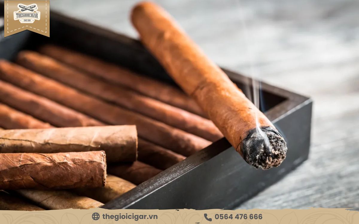 Những yếu tố từ Wrapper quyết định đến hương vị của cigar Wrapper xì gà ảnh hưởng đến hương vị