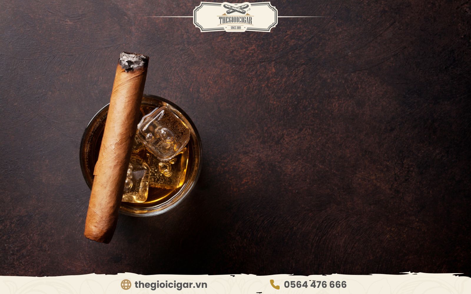 Cigar tuổi trung niên có những đặc điểm nổi bật gì? Cigar tuổi trung niên có những đặc điểm nổi bật gì?