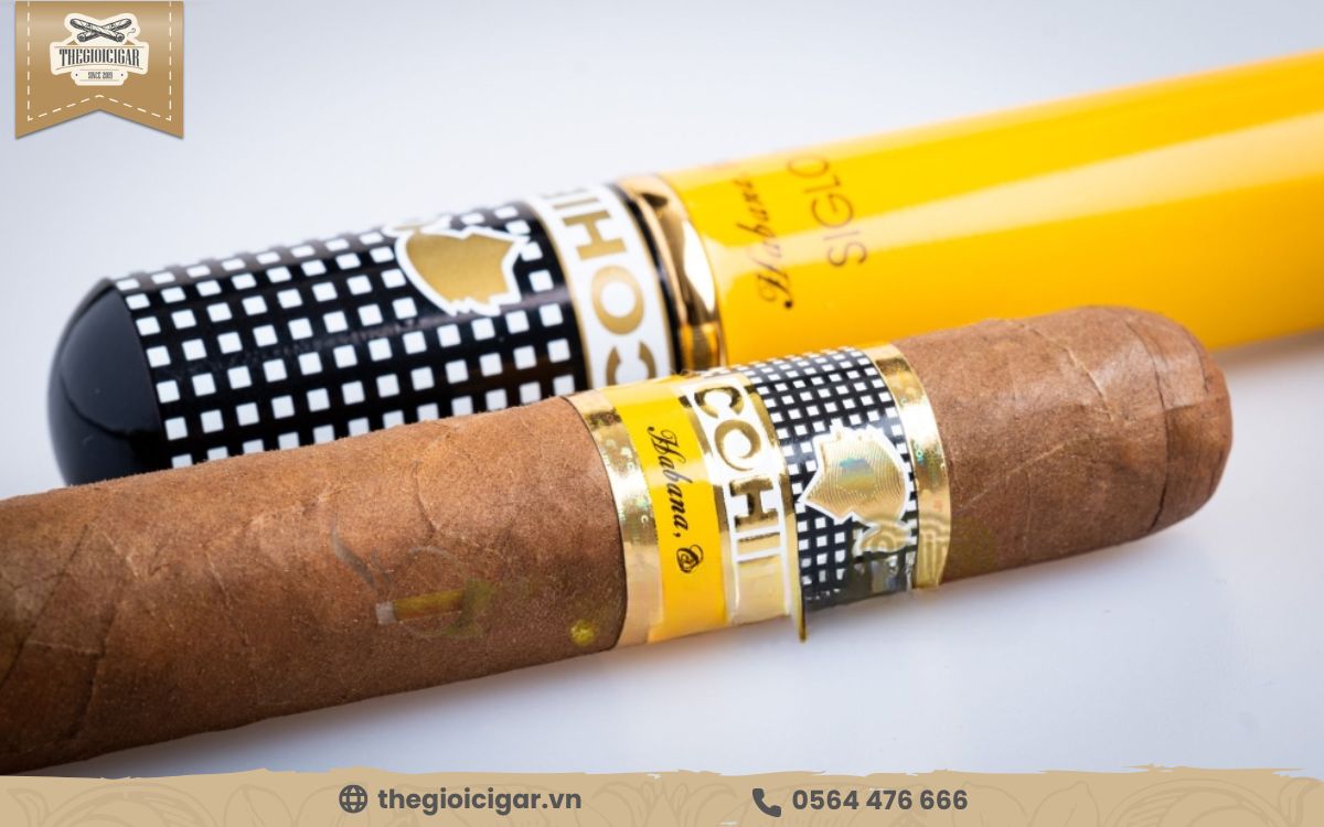 Cohiba Siglo IV Cigar chắc chắn là lựa chọn lý tưởng cho người mới lẫn dân chơi lâu năm Cohiba Siglo IV Cigar chắc chắn là lựa chọn lý tưởng cho người mới lẫn dân chơi lâu năm