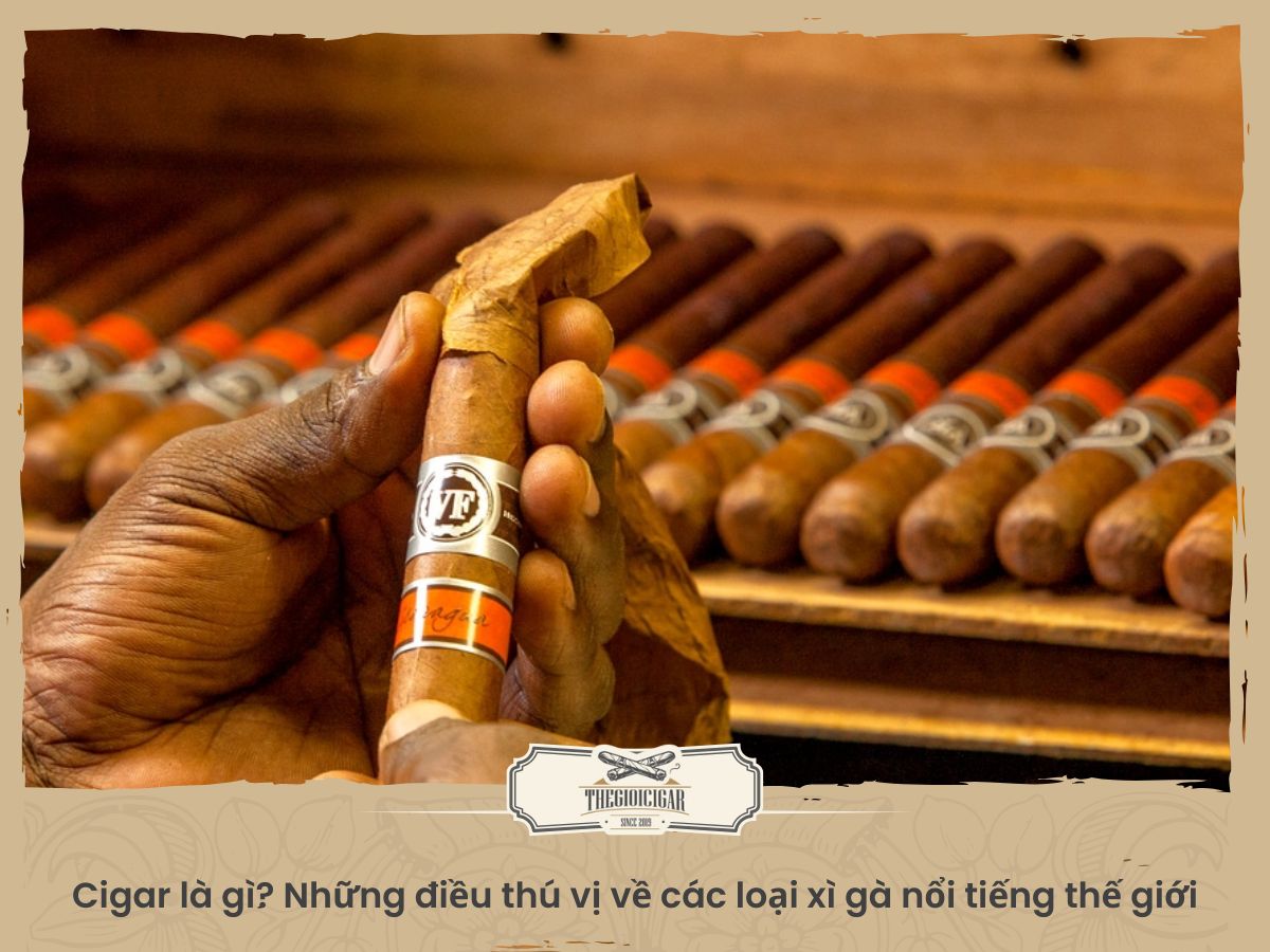 Cigar là gì? Những điều thú vị về các loại xì gà nổi tiếng thế giới